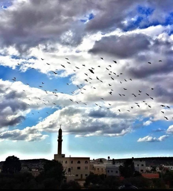  | موسوعة القرى الفلسطينية