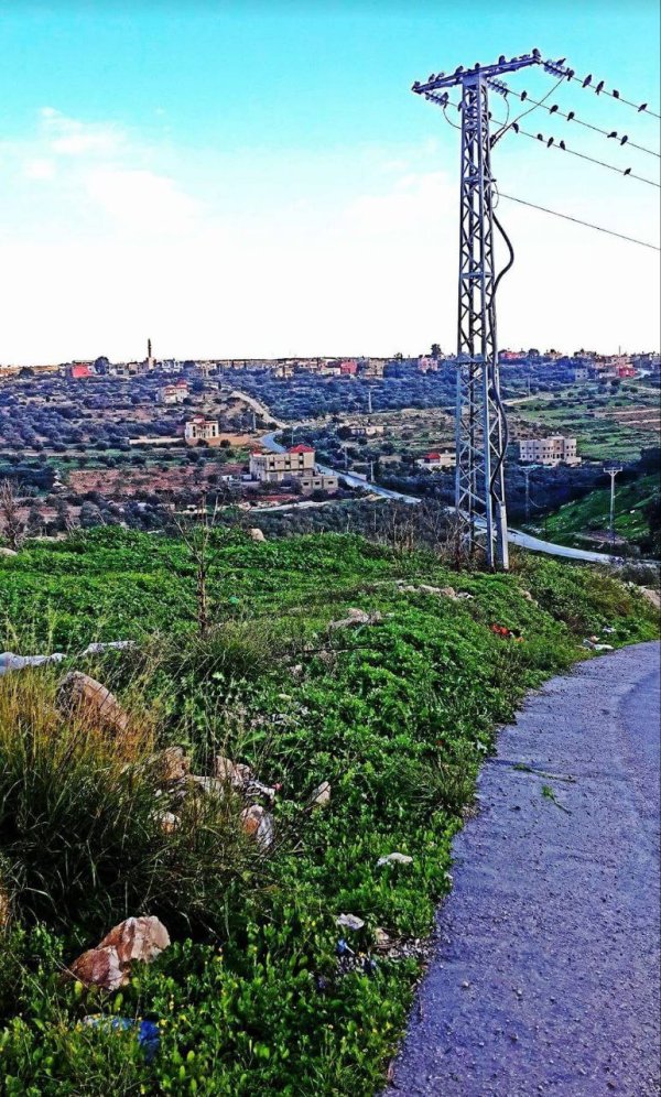  | موسوعة القرى الفلسطينية