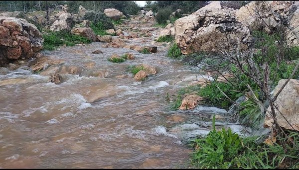  | موسوعة القرى الفلسطينية