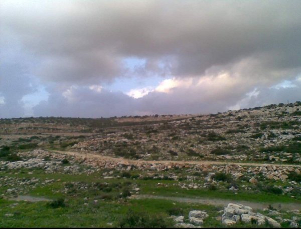  | موسوعة القرى الفلسطينية