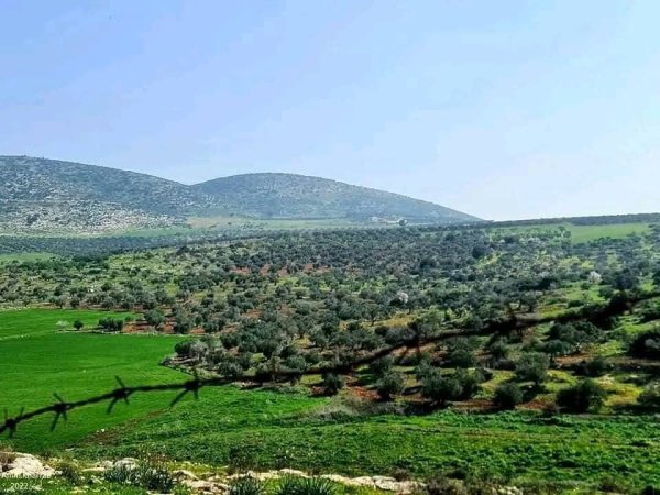  | موسوعة القرى الفلسطينية