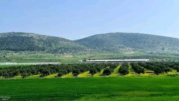  | موسوعة القرى الفلسطينية