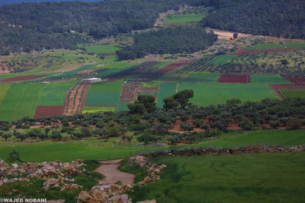  | موسوعة القرى الفلسطينية