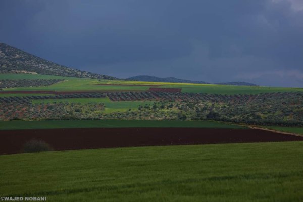  | موسوعة القرى الفلسطينية