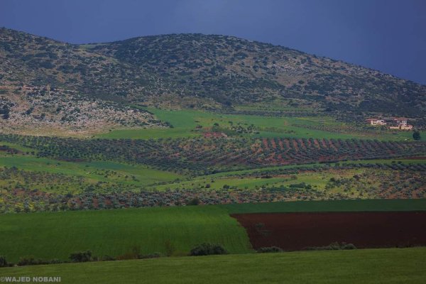  | موسوعة القرى الفلسطينية