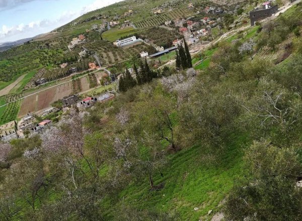  | موسوعة القرى الفلسطينية