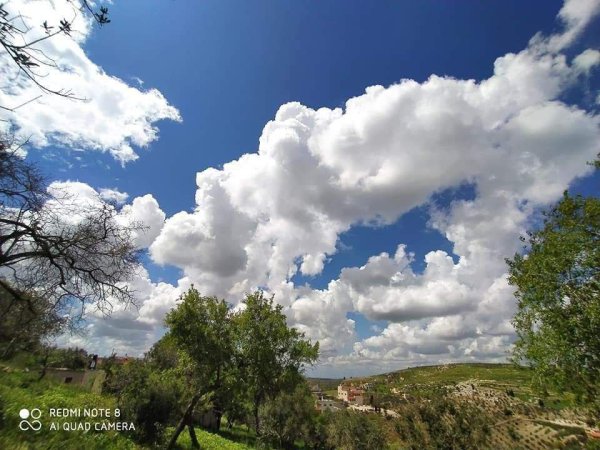  | موسوعة القرى الفلسطينية