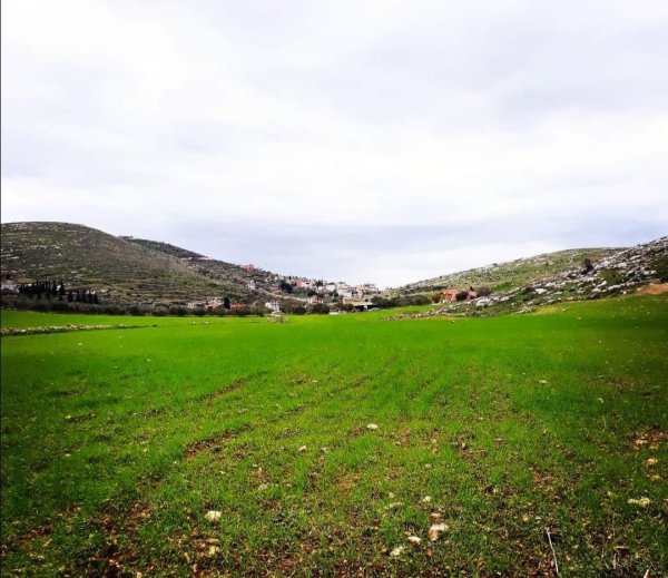  | موسوعة القرى الفلسطينية