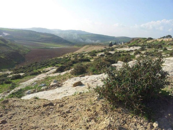 أراضي قرية المنصورة جنوبي مدية جنين