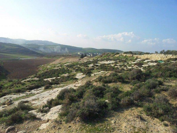أراضي قرية المنصورة جنوبي مدية جنين