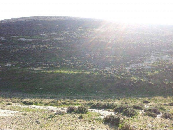 أراضي قرية المنصورة جنوبي مدية جنين