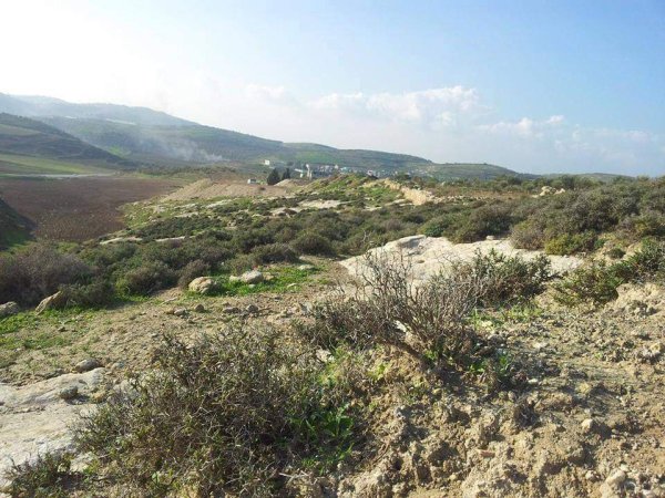 أراضي قرية المنصورة جنوبي مدية جنين