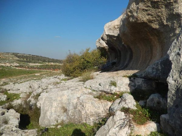 أراضي قرية المنصورة جنوبي مدية جنين