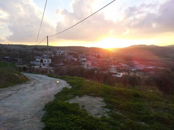 أراضي قرية المنصورة جنوبي مدية جنين