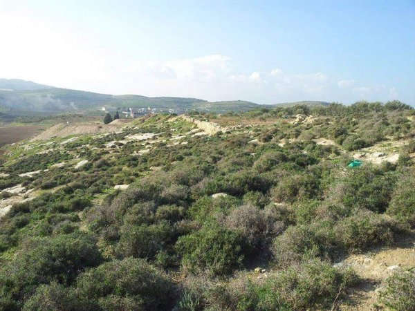 أراضي قرية المنصورة جنوبي مدية جنين