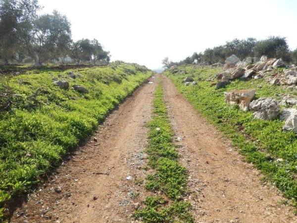 أراضي قرية المنصورة جنوبي مدية جنين