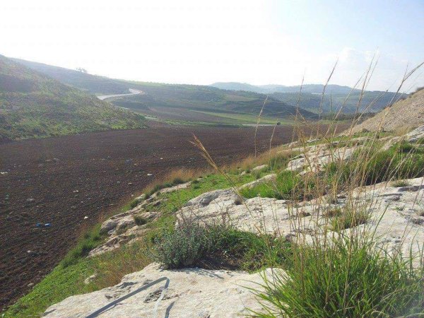 أراضي قرية المنصورة جنوبي مدية جنين