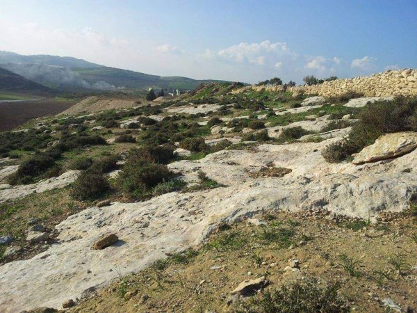 أراضي قرية المنصورة جنوبي مدية جنين