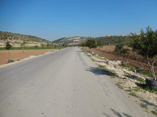 أراضي قرية المنصورة جنوبي مدية جنين