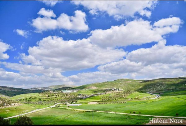 أراضي قرية المنصورة جنوبي مدية جنين