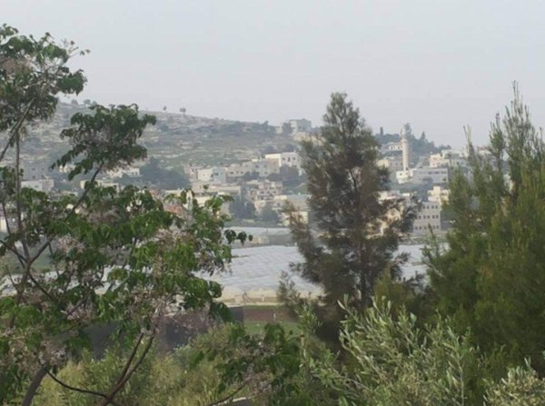  | موسوعة القرى الفلسطينية