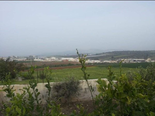  | موسوعة القرى الفلسطينية