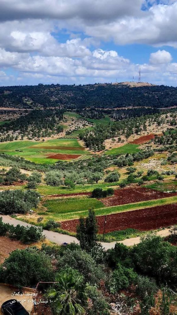 من قرية المطلة شرق جنين تصوير يوسف تركمان