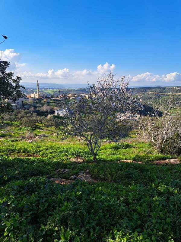 صور لقرية المطلة قضاء جنين، من صفحة: أ.Atef Abu Aroob