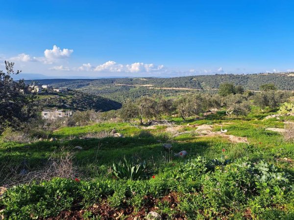 صور لقرية المطلة قضاء جنين، من صفحة: أ.Atef Abu Aroob