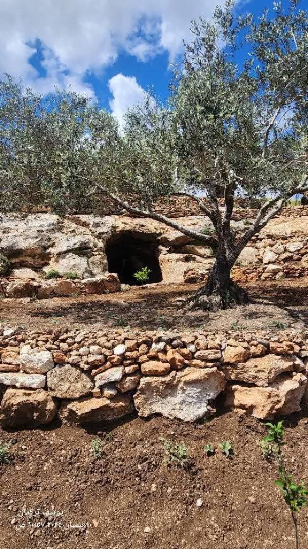 من قرية المطلة شرق جنين تصوير يوسف تركمان