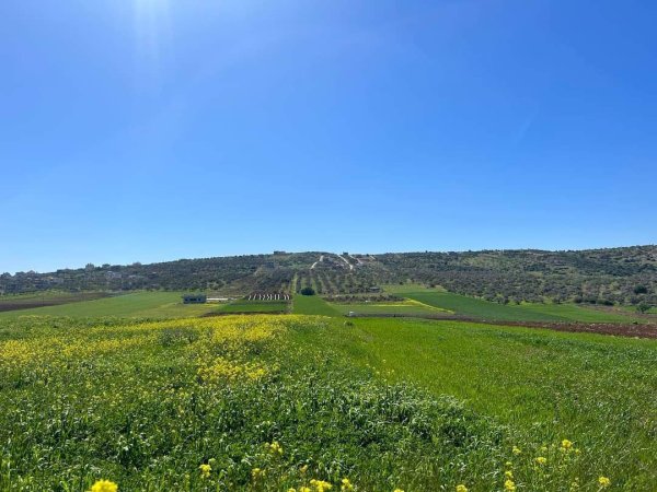 صور قرية المطلة قضاء جنين تصوير Mahasen Katout