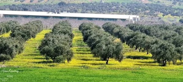 من الكفير وسهل رابا والزبابده، بعدسة: أ. امين خراز