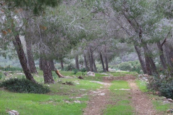 صور مختلفة لقرية رابا بعدسة: أ. حمود بزور