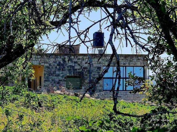 بعض البيوت القديمة من قرية تلفيت جنوب جنين تصوير يوسف تركمان