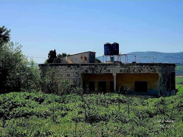 بعض البيوت القديمة من قرية تلفيت جنوب جنين تصوير يوسف تركمان