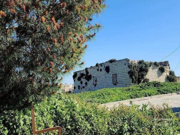 بعض البيوت القديمة من قرية تلفيت جنوب جنين تصوير يوسف تركمان