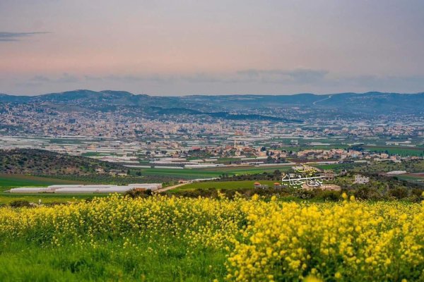 صور من أراضي قرية جلبون شرق جنين، بعدسة: بهاء جيتاوي