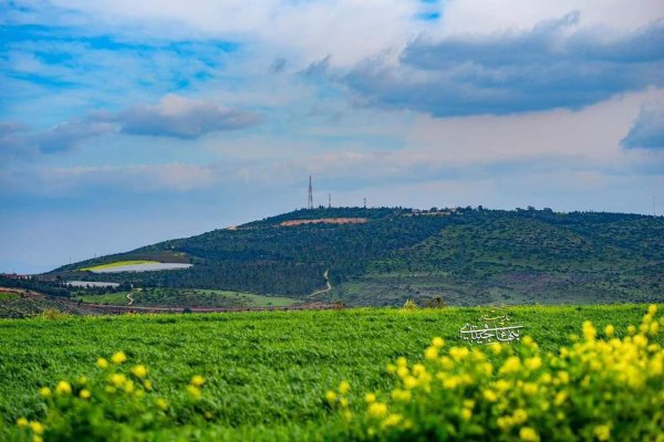 صور من أراضي قرية جلبون شرق جنين، بعدسة: بهاء جيتاوي