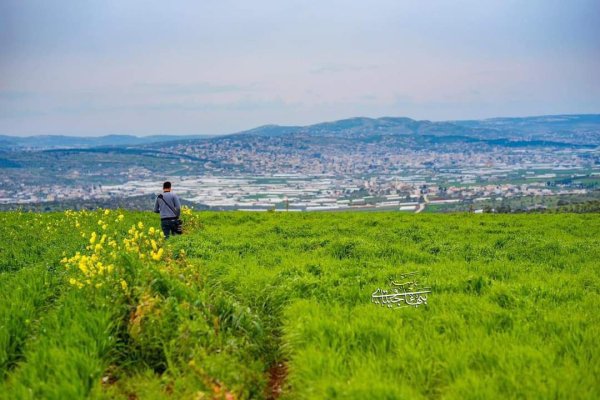 صور من أراضي قرية جلبون شرق جنين، بعدسة: بهاء جيتاوي