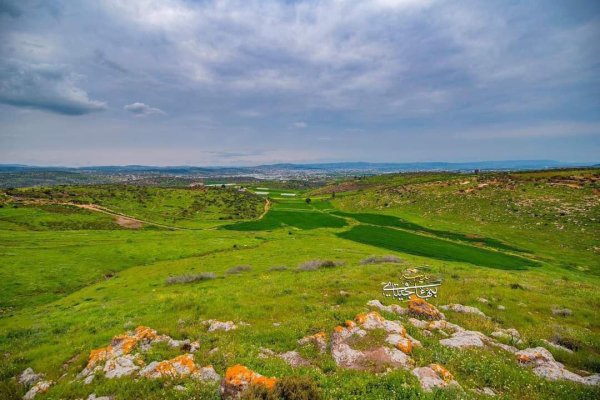 صور من أراضي قرية جلبون شرق جنين، بعدسة: بهاء جيتاوي
