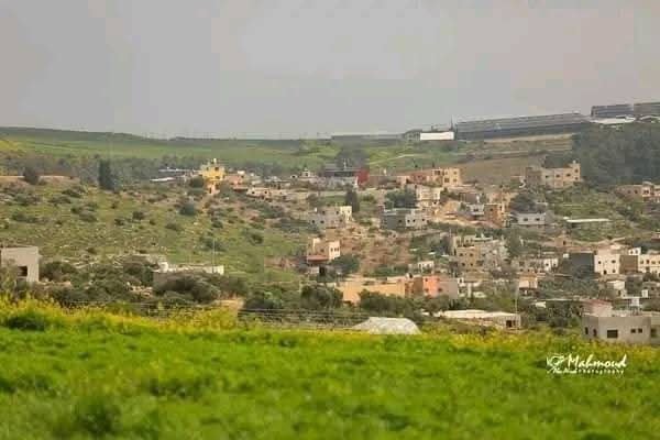 الربيع من قرية جلبون في محافظة جنين
