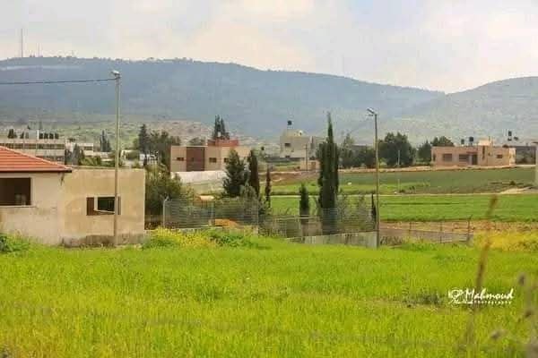 الربيع من قرية جلبون في محافظة جنين