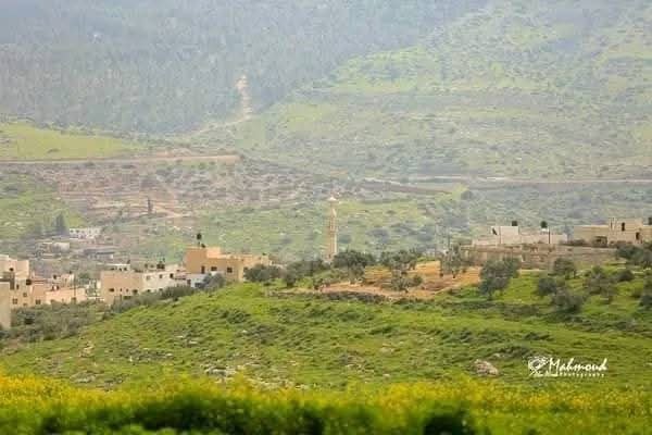 الربيع من قرية جلبون في محافظة جنين