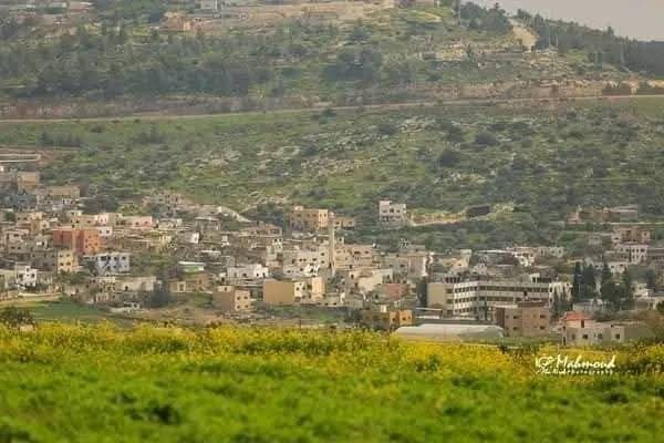 الربيع من قرية جلبون في محافظة جنين