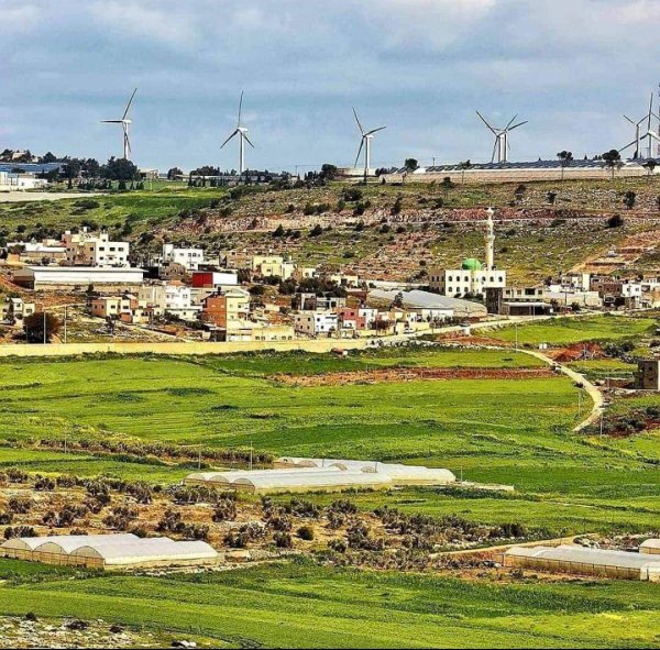 صورة من أراضي قرية جلبون شرقي جنين