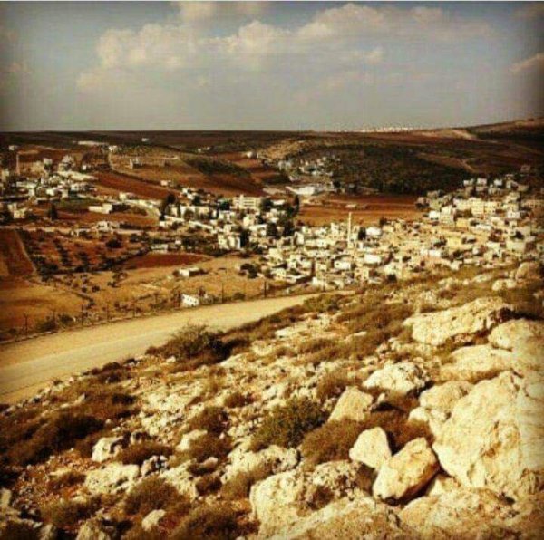 صورة من أراضي قرية جلبون شرقي جنين