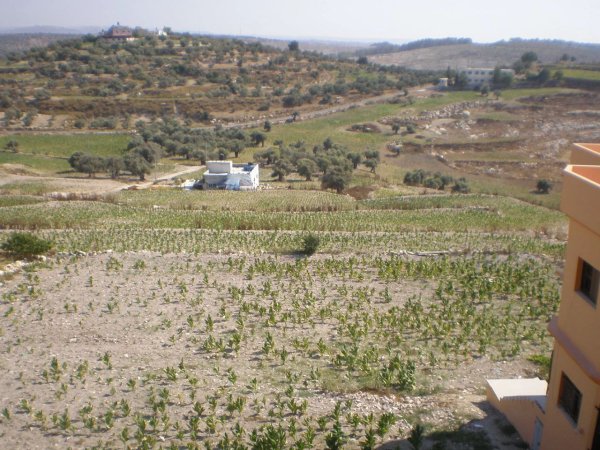 صور من قرية زبدة غربي مدينة جنين