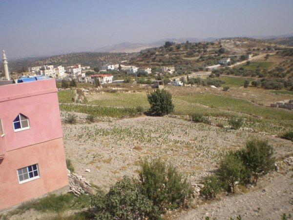 صور من قرية زبدة غربي مدينة جنين