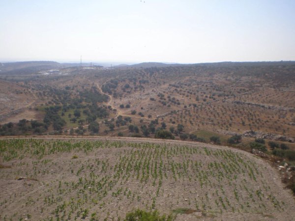 صور من قرية زبدة غربي مدينة جنين
