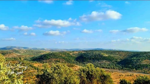 صور لأراضي قرية زبدة بعدسة: أ. أمين خراز